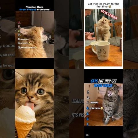 Animals Getting Brain Freeze thumbnail