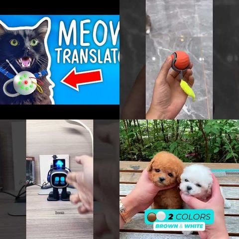 Animals Playing with Smart Toys thumbnail