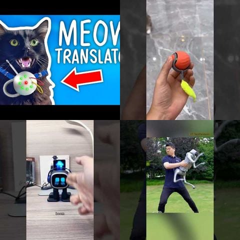 Animals vs Automated Pet Toys thumbnail