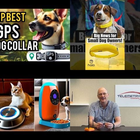 Animals vs GPS Pet Trackers thumbnail