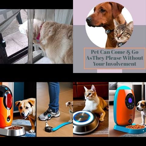 Animals vs Smart Pet Doors thumbnail