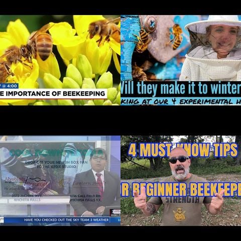 Beekeeping YouTube Community thumbnail