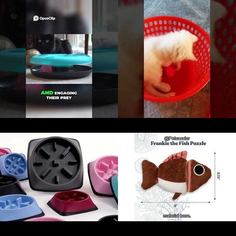 Cats Playing with Interactive Puzzle Toys thumbnail