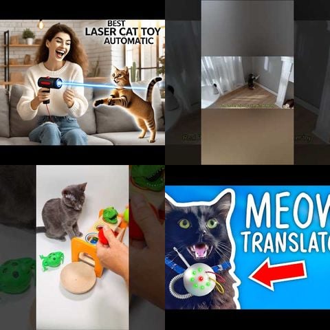 Cats Playing with Laser Robot Toys thumbnail