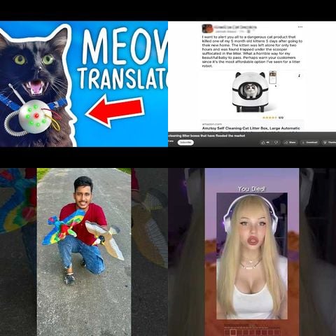 Cats vs Automatic Feeders thumbnail