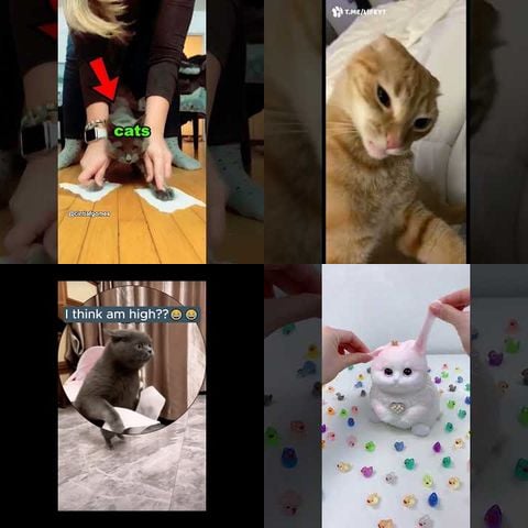 Cats vs Tape thumbnail