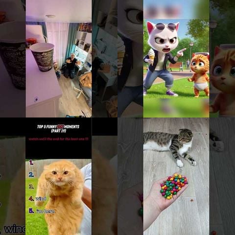 Cats vs Water Bottles thumbnail