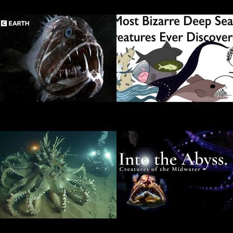 Deep Sea Creatures Nobody Talks About thumbnail