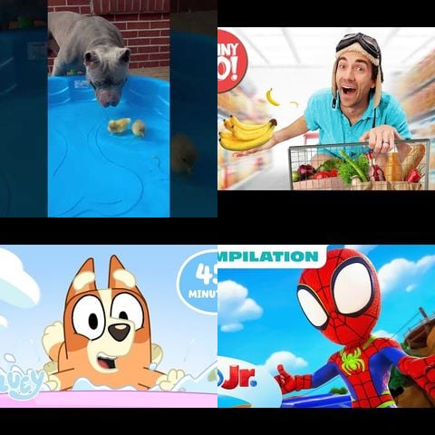 Dogs Learning to Swim thumbnail