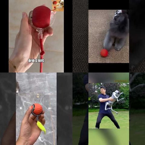 Dogs Playing with Smart Ball Toys thumbnail