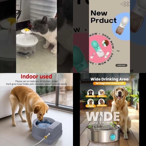Dogs vs Automatic Water Fountains thumbnail