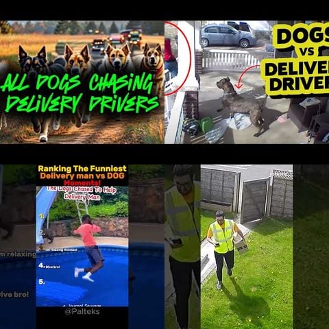 Dogs vs Mailmen thumbnail