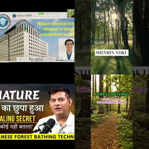 Forest Bathing: The Japanese Secret to Mental Health thumbnail