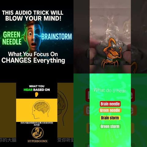 Green Needle Brainstorm Audio