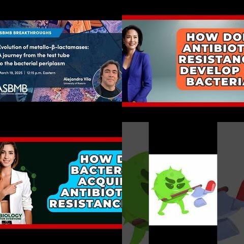 How Bacteria Evolve Resistance thumbnail