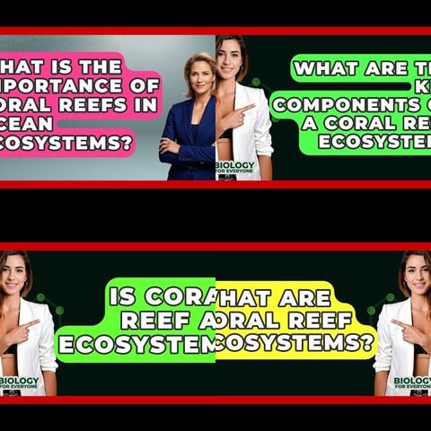 How Coral Reefs Form Ecosystems thumbnail
