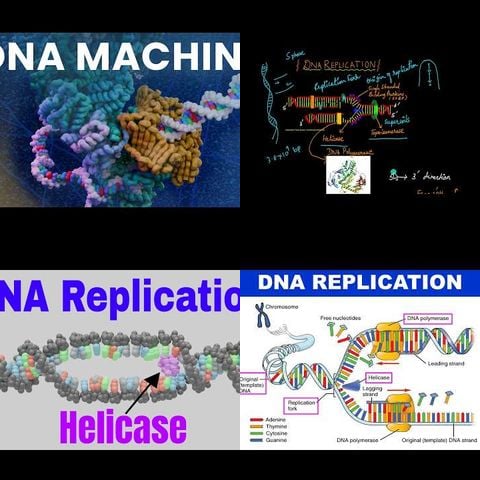 How DNA Replication Actually Happens thumbnail
