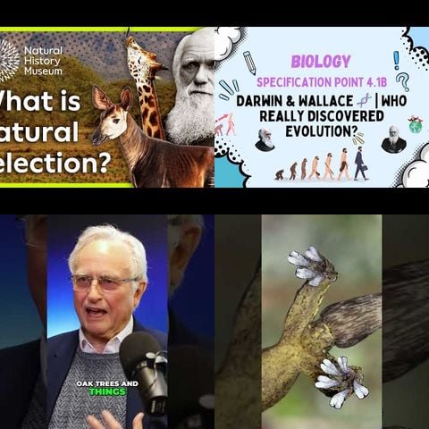 How Evolution Really Works thumbnail