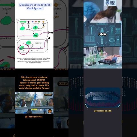 How Genetic Engineering Works thumbnail