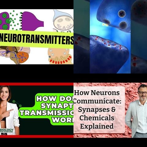 How Neurons Communicate Information thumbnail