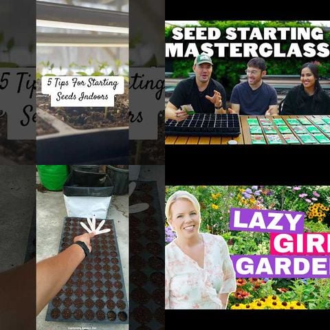 How to Plant Seeds in Garden thumbnail