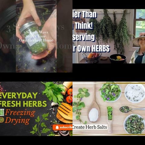 How to Preserve Herbs thumbnail