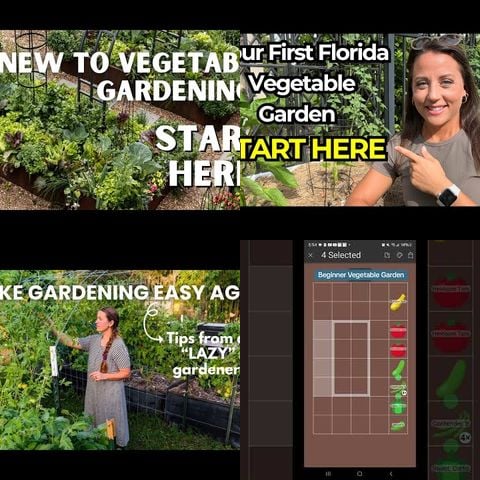 How to Start a Vegetable Garden thumbnail