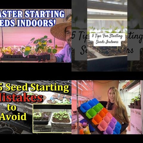 How to Start Seeds Indoors thumbnail