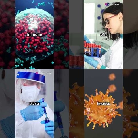How Vaccines Actually Work thumbnail