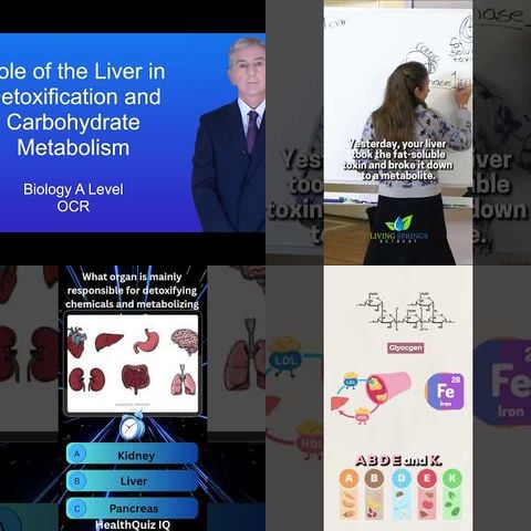 How Your Liver Detoxifies Everything thumbnail