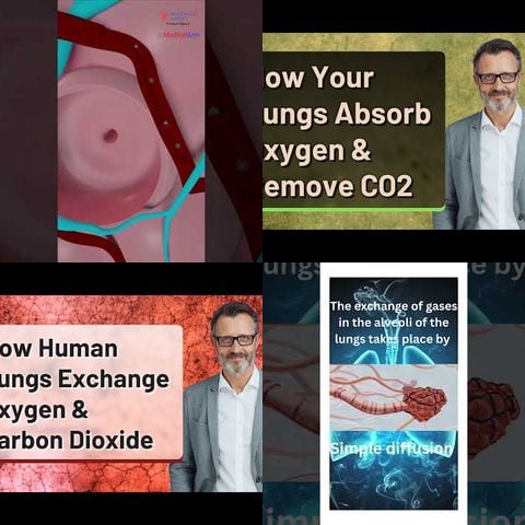 How Your Lungs Exchange Oxygen thumbnail