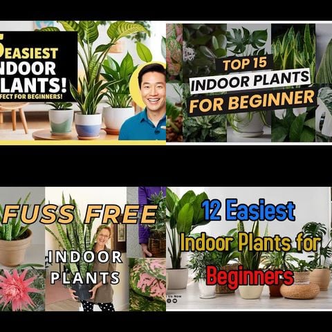 Indoor Plants for Beginners thumbnail