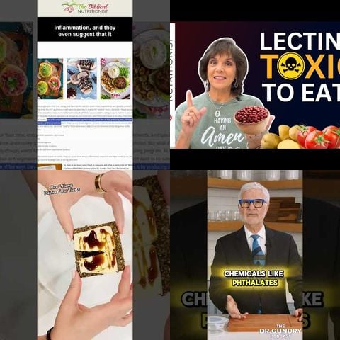 Lectin Free Diet Guide thumbnail