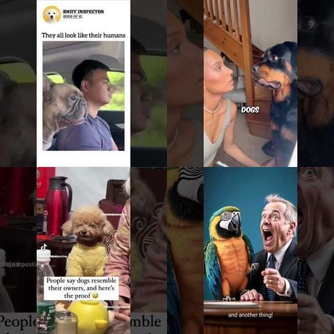 People Who Look Like Their Pets thumbnail