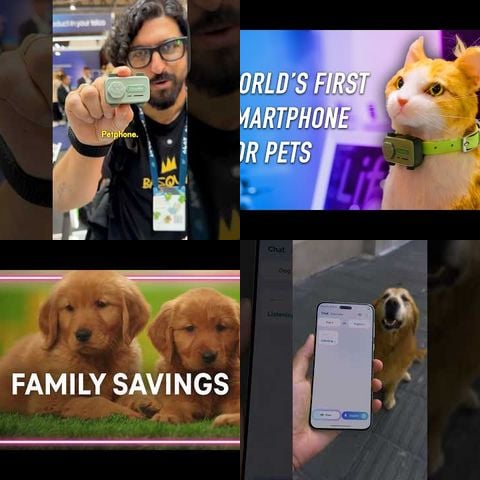 Phones Designed for Animals thumbnail