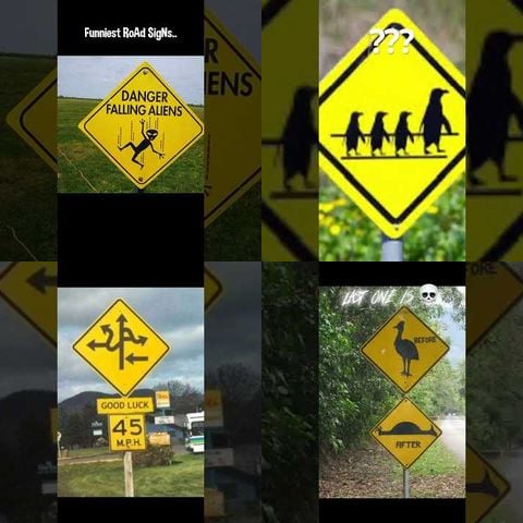 Strange Road Signs thumbnail