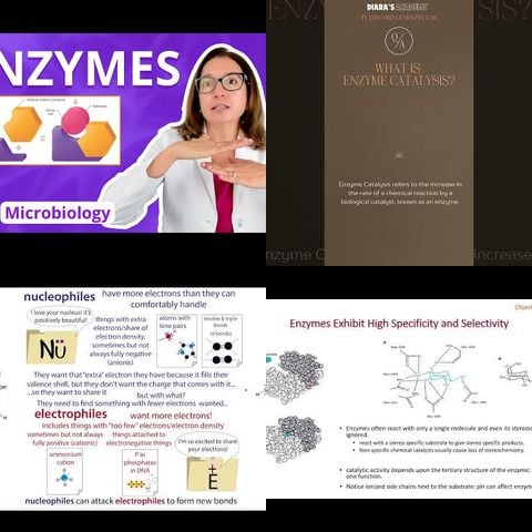 The Science of Enzymes thumbnail