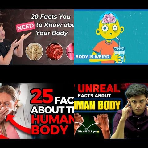 Uncommon Facts About the Human Body thumbnail