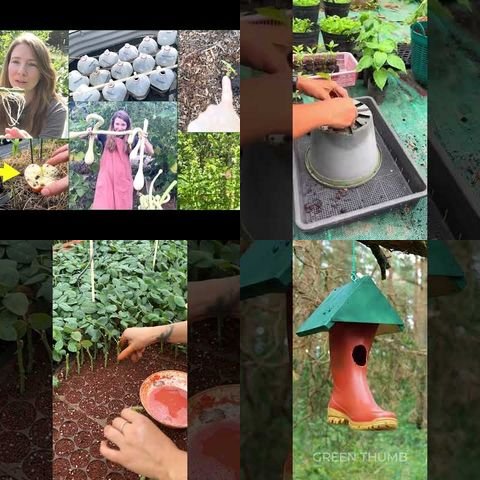 Unusual Gardening Techniques thumbnail