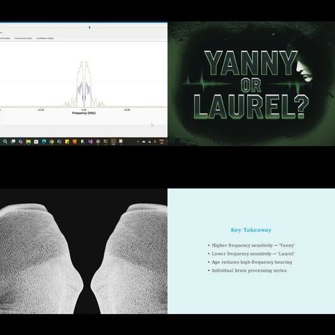 Yanny Laurel Audio Illusion thumbnail